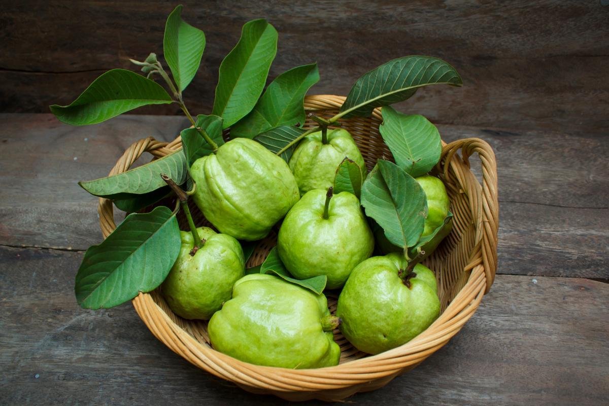 Lợi ích khi ăn ổi mỗi ngày giúp bạn có làn da chắc khỏe từ bên trong Lợi ích khi ăn ổi mỗi ngày giúp bạn có làn da chắc khỏe từ bên trong